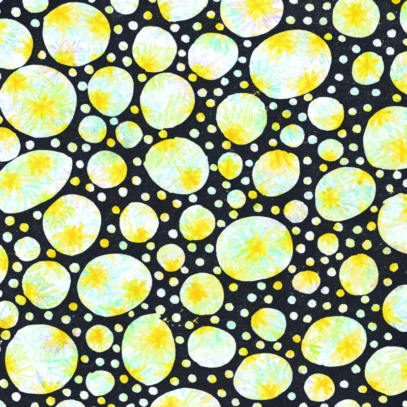Delighted by Dandelion by Night
