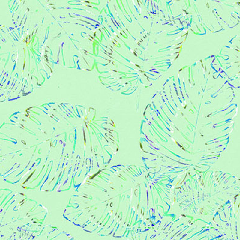 Monstera Magic Mint